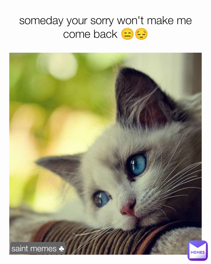 saint memes ♣ someday your sorry won't make me come back 😑😔