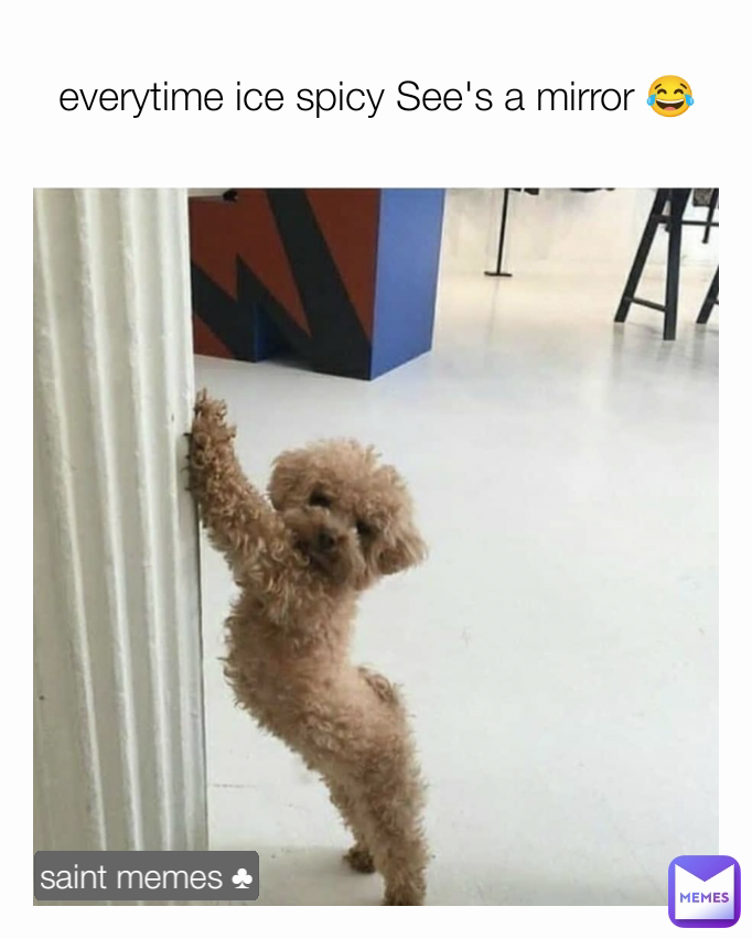 saint memes ♣ everytime ice spicy See's a mirror 😂