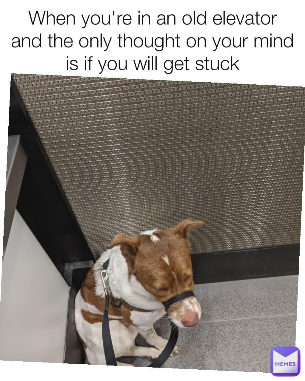 When you're in an old elevator and the only thought on your mind is if you will get stuck