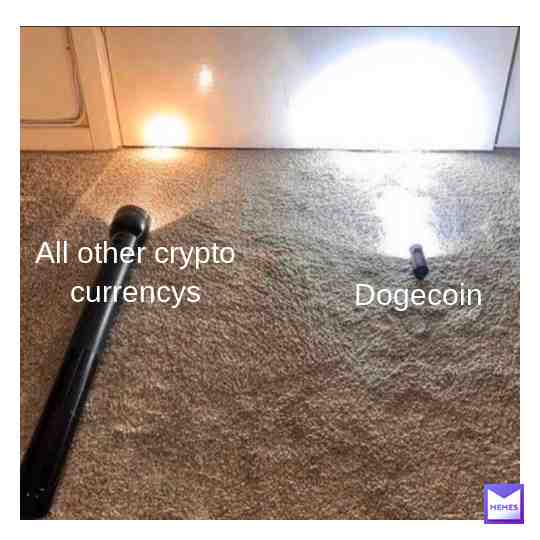 doge is the best
