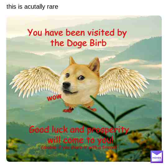 https://dogemuchwow.com/ #doge #dogecoin