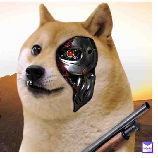 dogeinator #doge #dogecoin #dogearmyyyyy