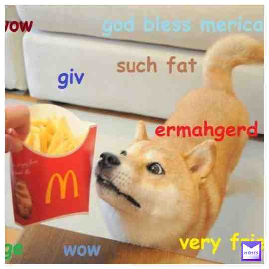 doge loves frys #doge #dogecoin #dogearmyyyyy