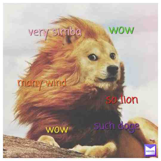 #doge