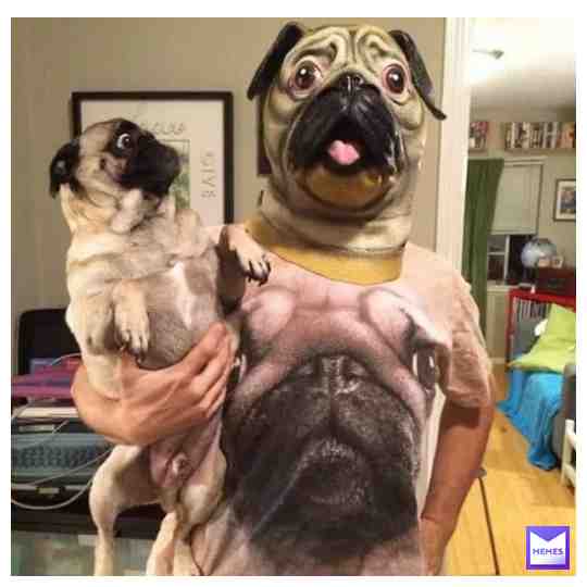 Pugception