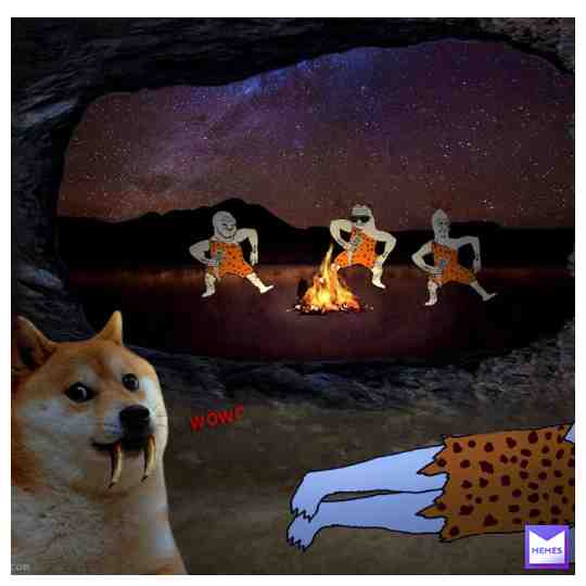don't do it doge!!! #doge #dogecoin #dogearmyyyyy