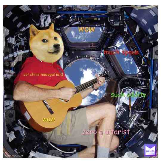 doge played space oddity #doge #dogecoin #dogearmyyyyy