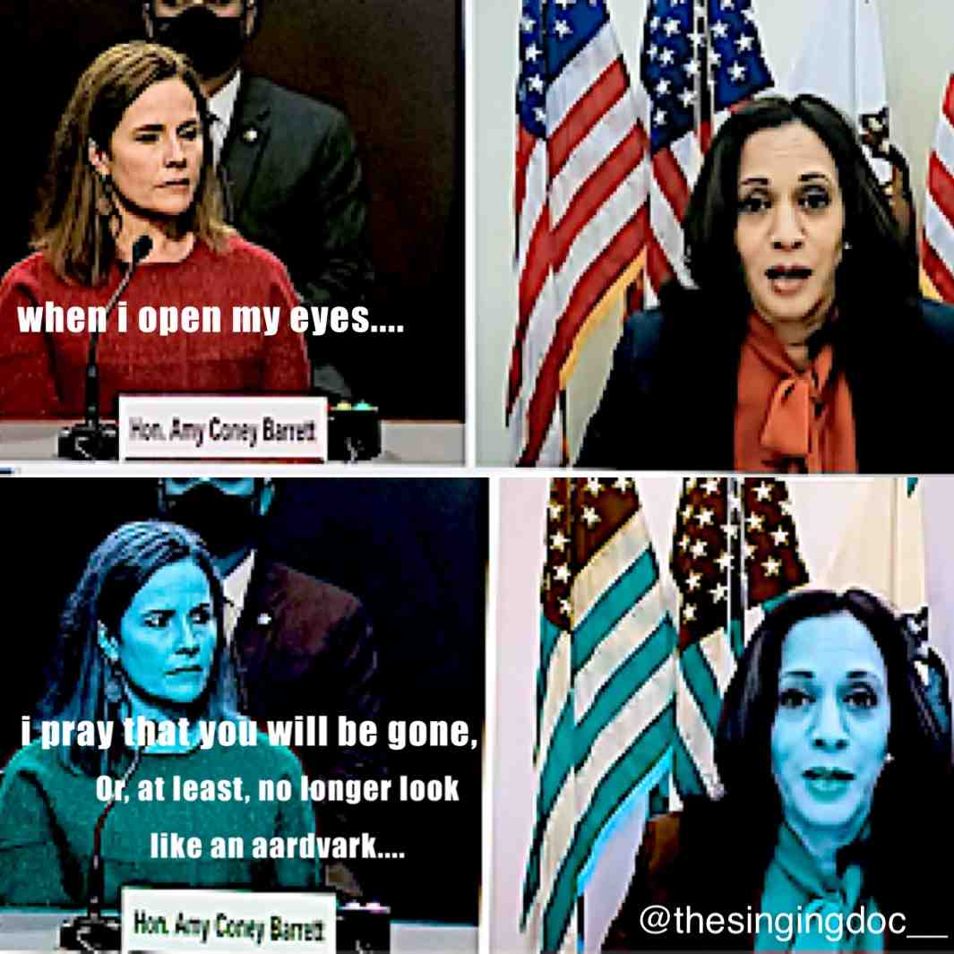 Sic #republicanmemes #supremecourt #trump2020 #kamalaharris
