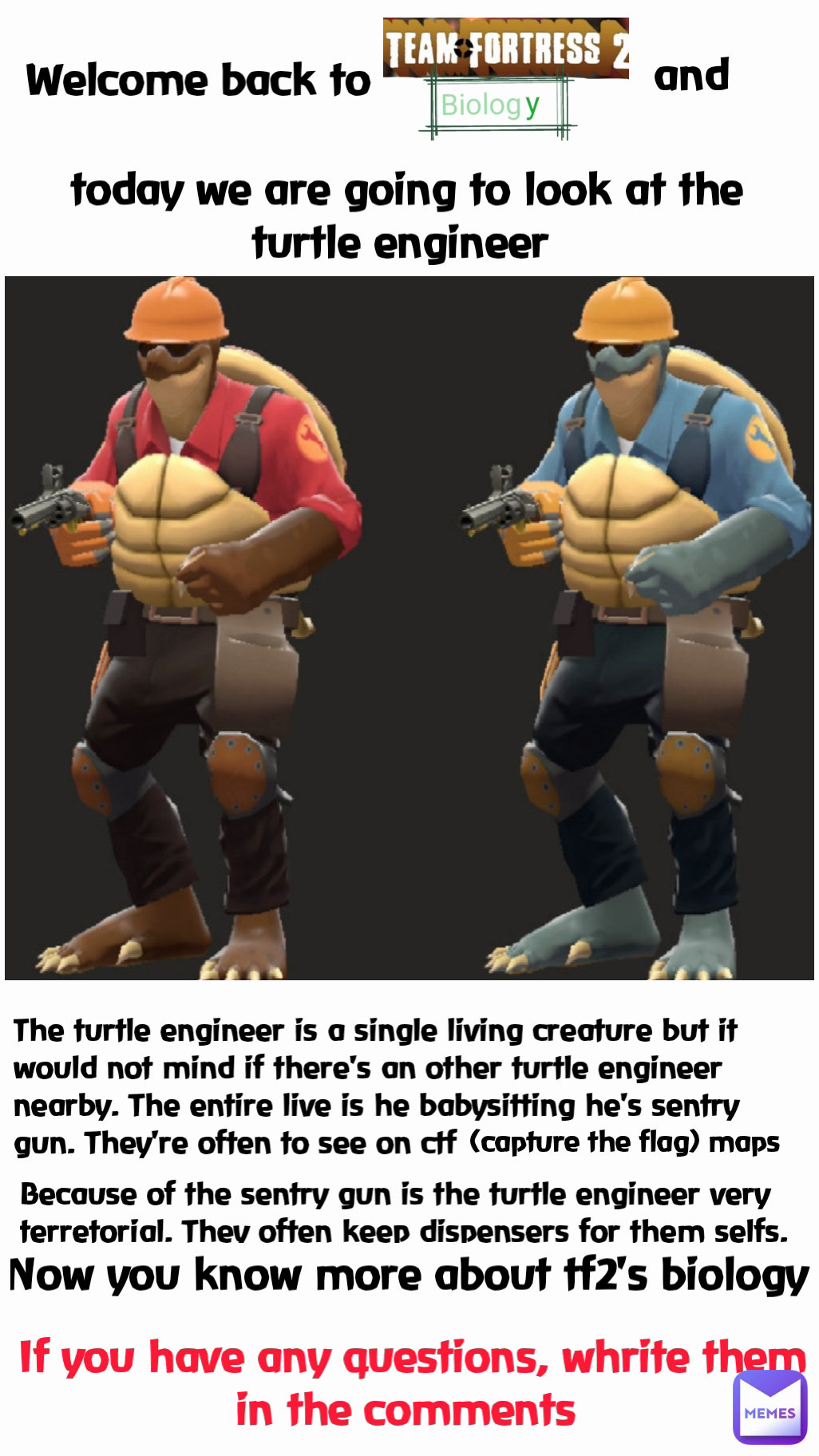 If you have any questions, whrite them in the comments  today we are going to look at the turtle engineer  and The turtle engineer is a single living creature but it would not mind if there's an other turtle engineer nearby. The entire live is he babysitting he's sentry gun. They're often to see on ctf (capture the flag) maps Welcome back to  Because of the sentry gun is the turtle engineer very terretorial. They often keep dispensers for them selfs. Now you know more about tf2's biology 