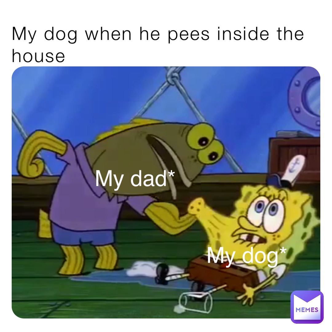 My dog when he pees inside the house My dad* My dog*