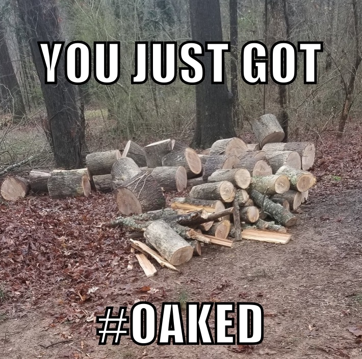 Meme by elijahcarlstrom