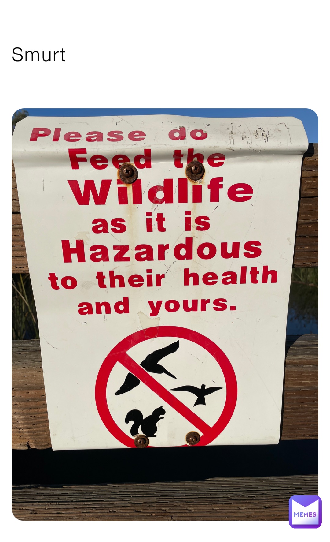 Meme by America_needs_help