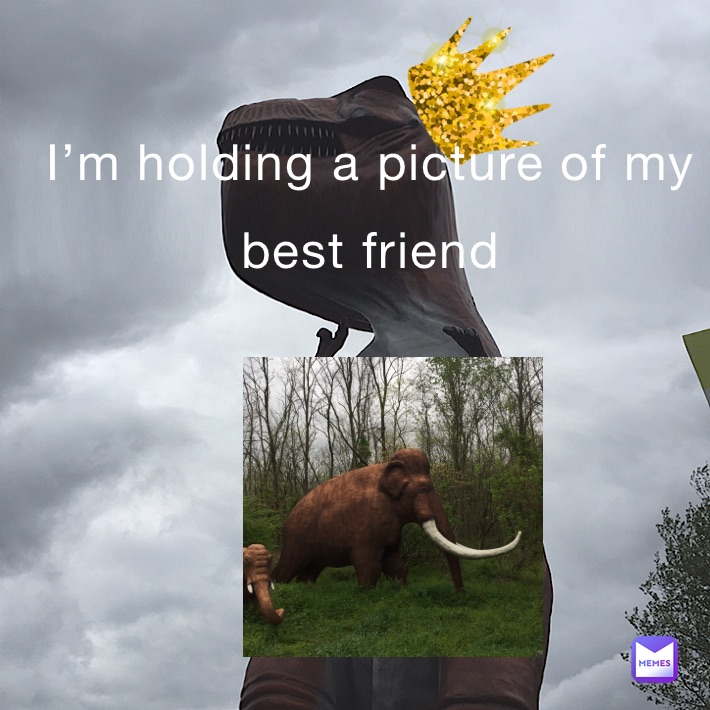 Meme by aidenwagers11