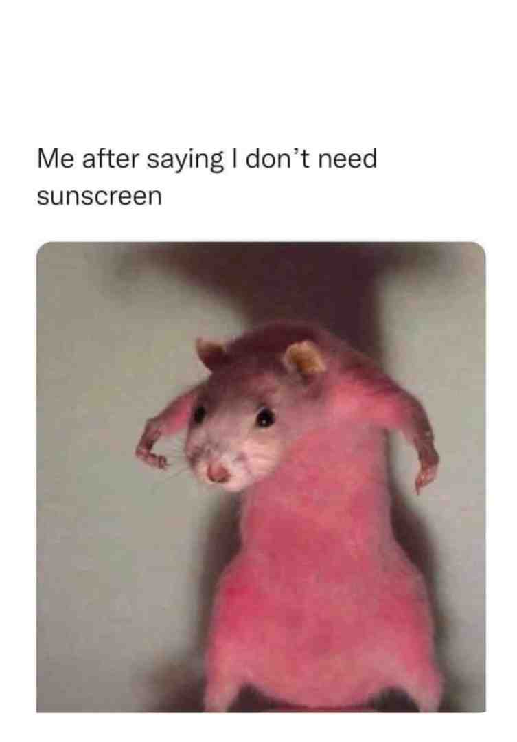 Meme preview