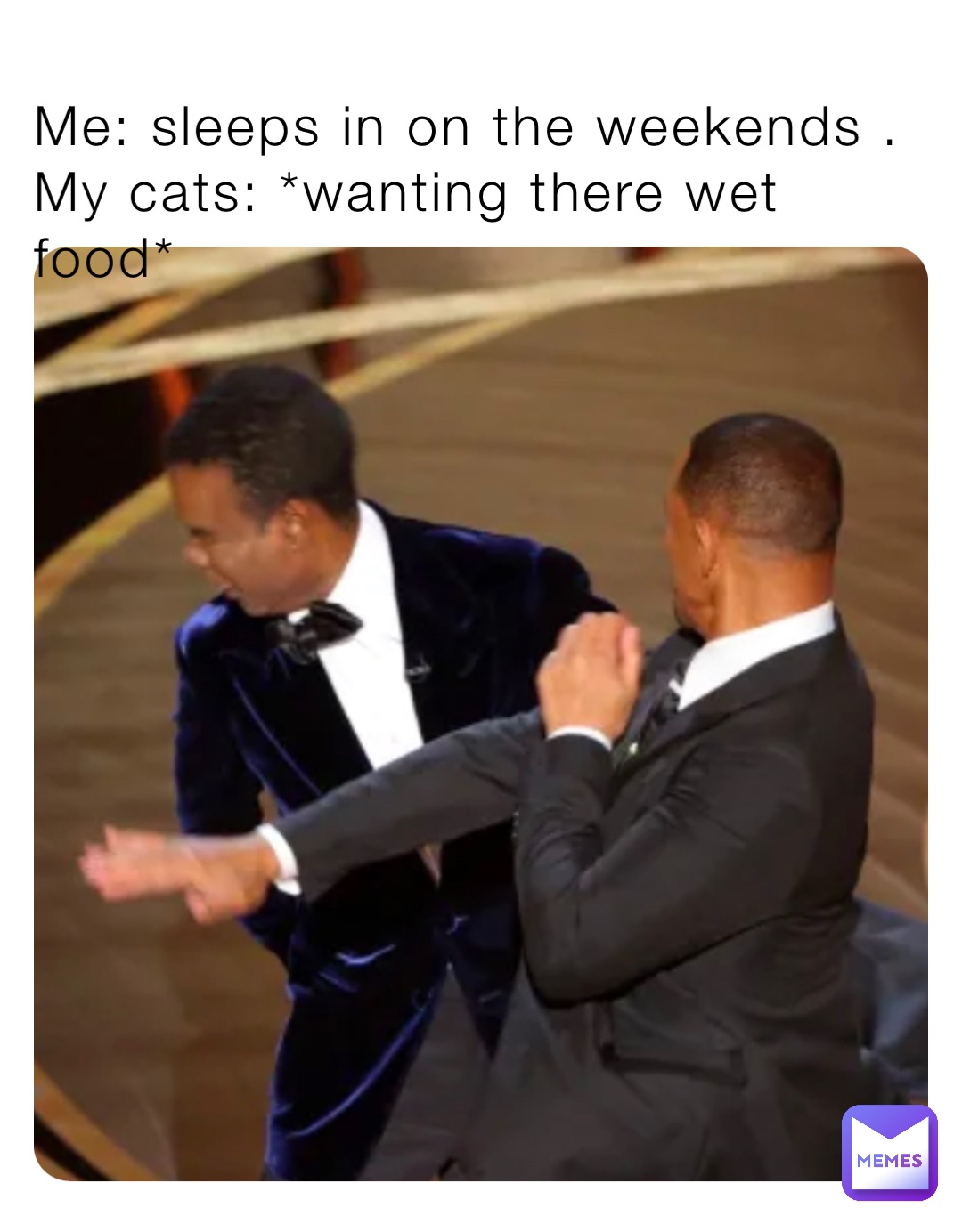 Me: sleeps in on the weekends .
My cats: *wanting there wet food*
