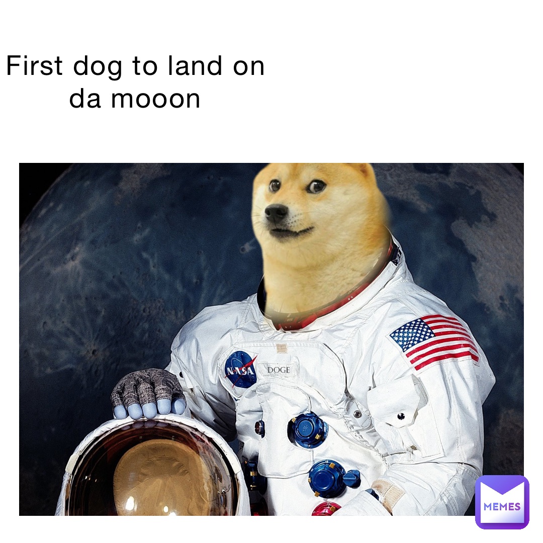 First dog to land on da mooon