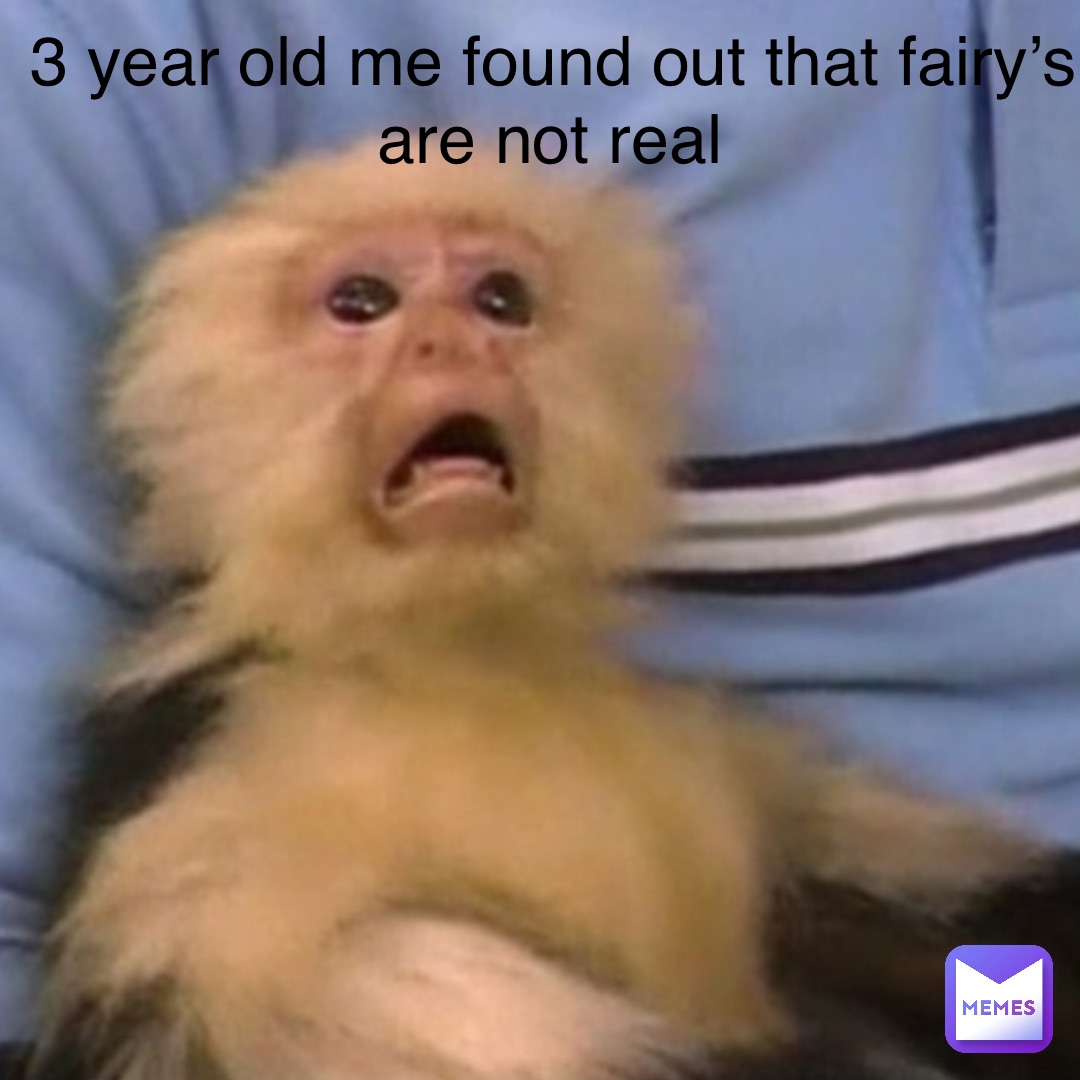 3 year old me found out that fairy’s are not real