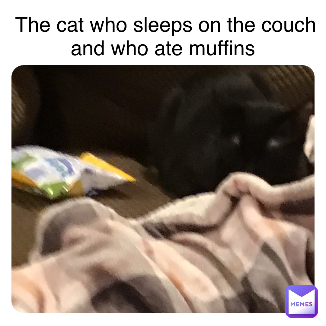 Double tap to edit The cat who sleeps on the couch and who ate muffins