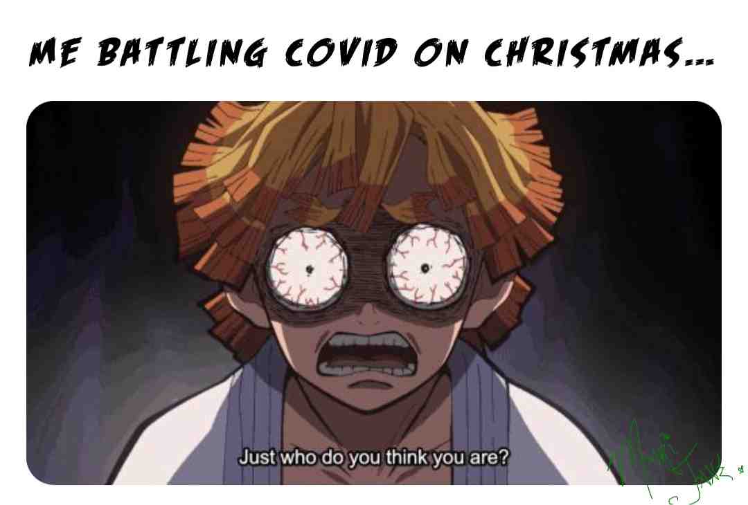 We love it. 👌 #christmas2021 #christmas #christmasmemes #zenitsu #demonslayer #demonslayermemesdemonslayermemes