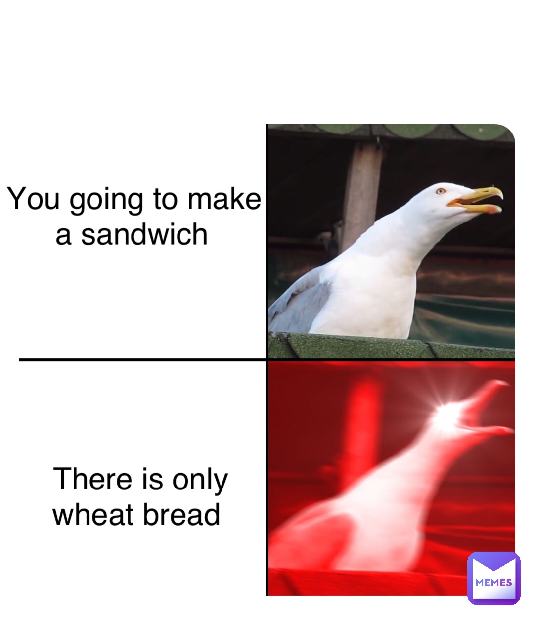 You going to make a sandwich There is only wheat bread