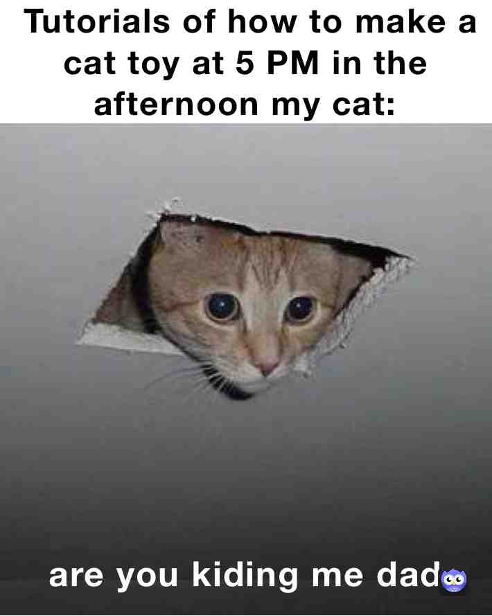 Meme shared by @dusty_dust