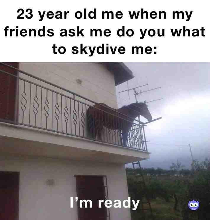 Meme shared by @dusty_dust