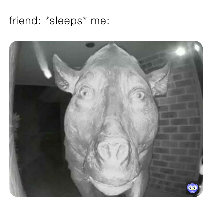 friend: *sleeps* me: