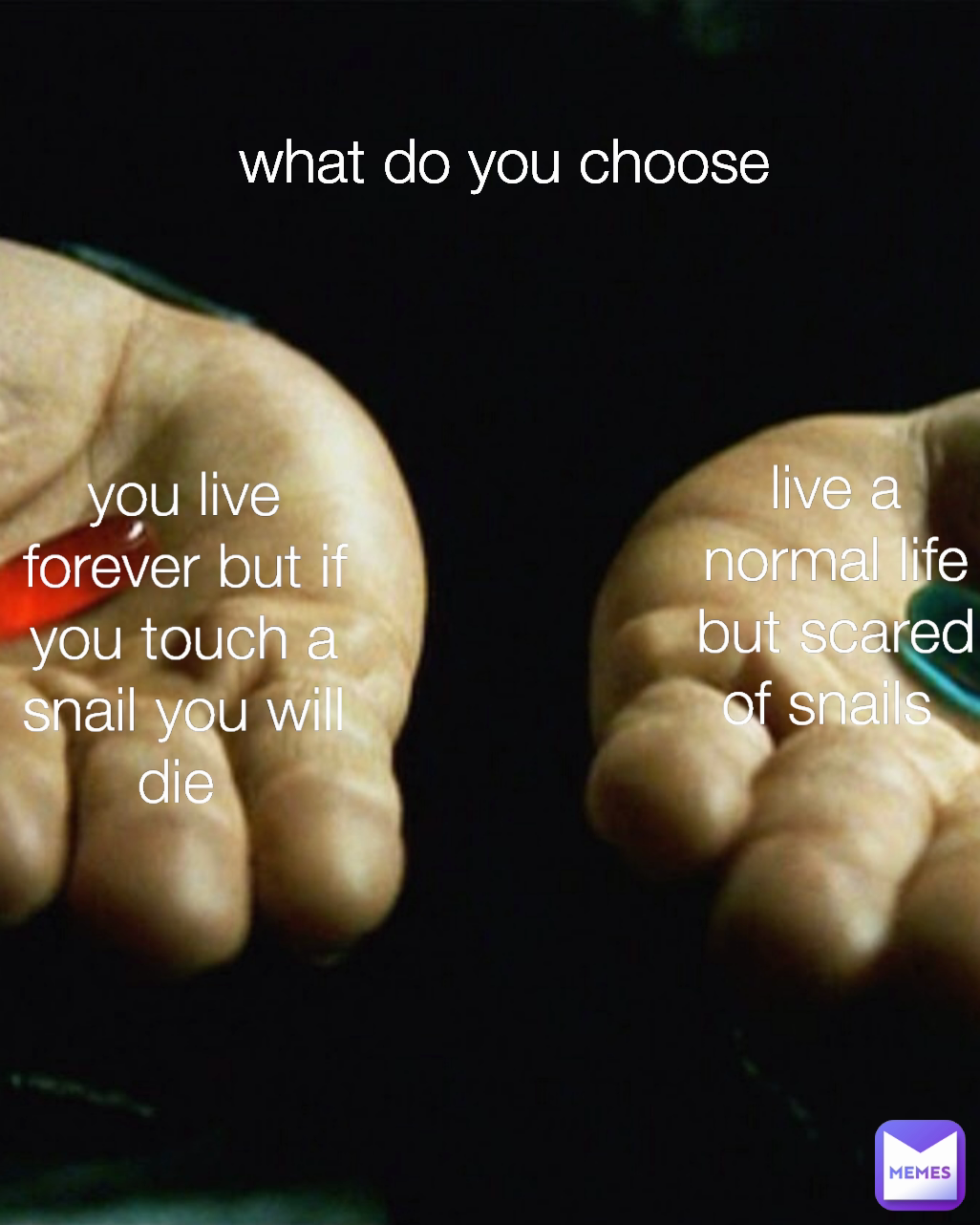 live a normal life but scared of snails  you live forever but if you touch a snail you will die  what do you choose 