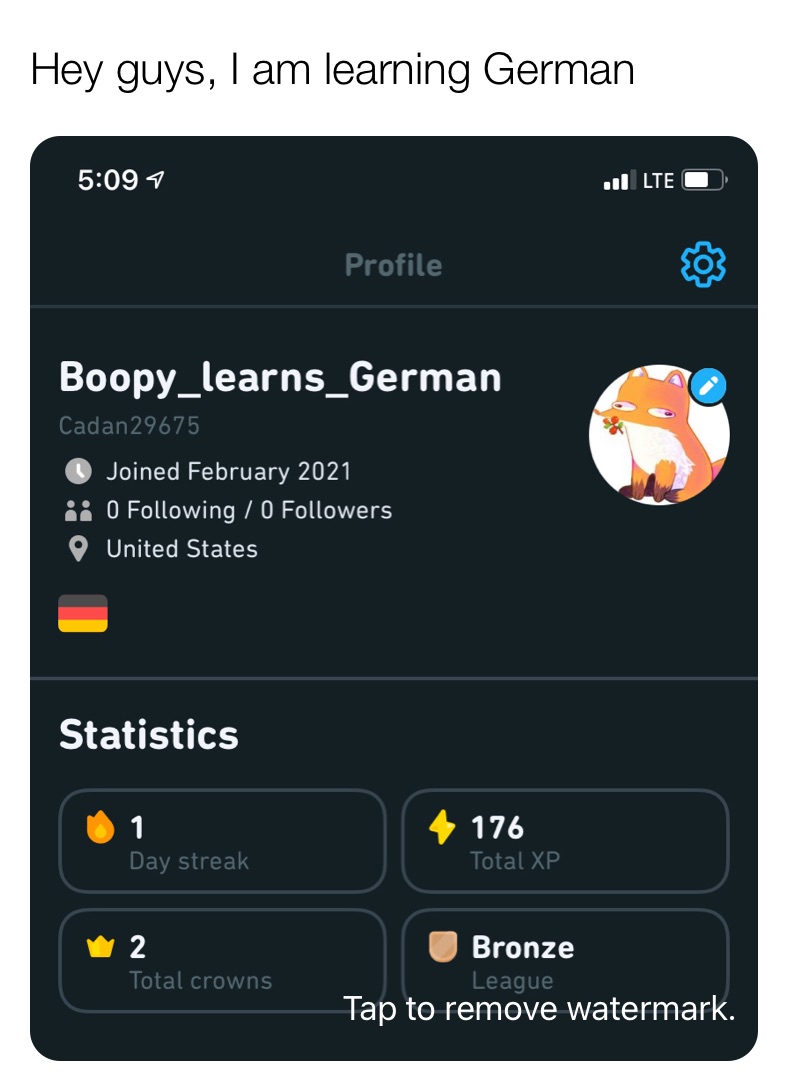 Hey guys, I am learning German 