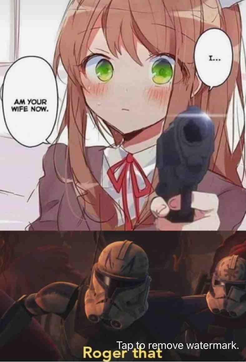 What’s the problem with that #the_fox_post #the_fox_gang