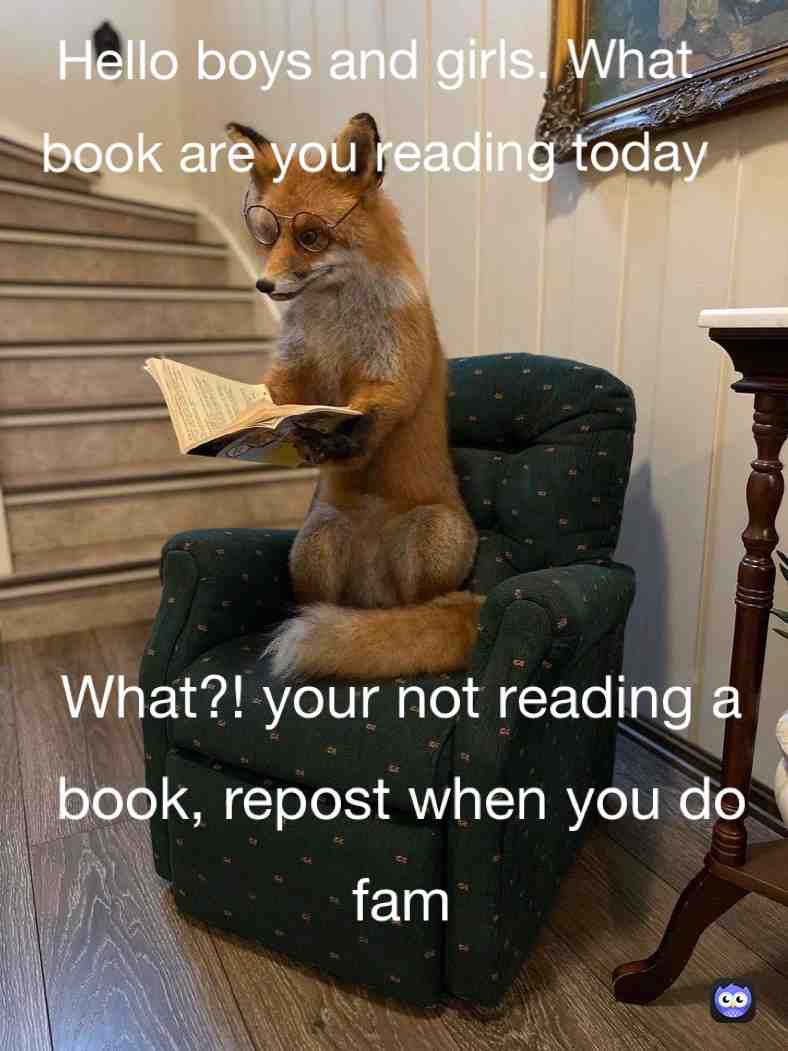  #the_fox_post #the_fox_gang
