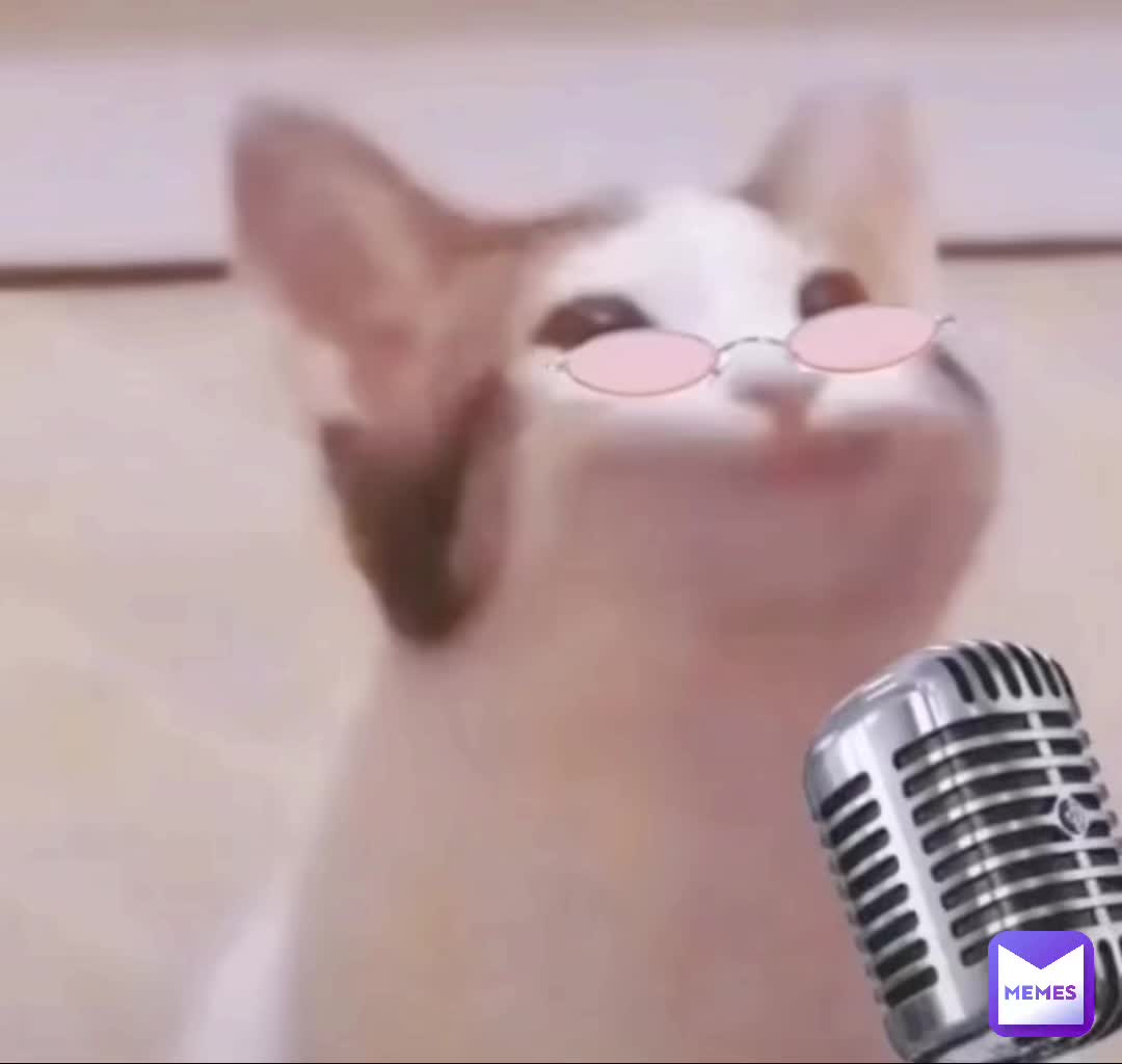 Yo My Barber Did Pretty Nice On My Cut G Shoutout To My Barber Dawg Boopy The Fox Memes