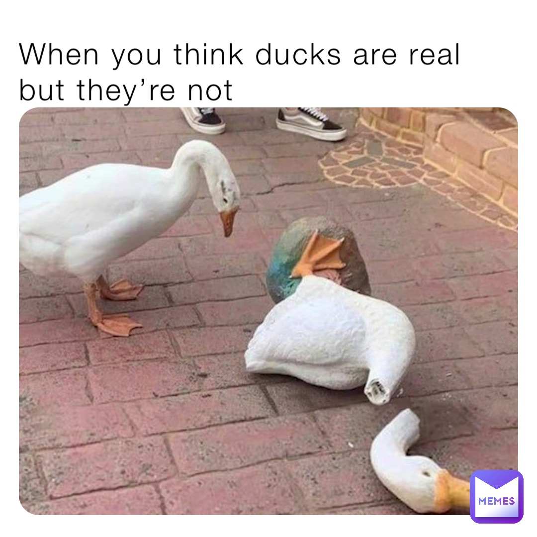 Meme by lovekittycatsbekindorelse