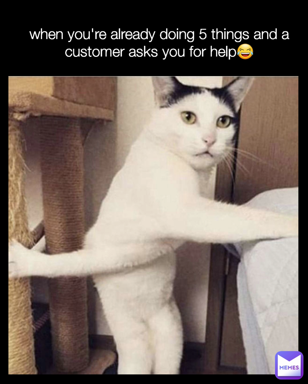 when you're already doing 5 things and a customer asks you for help😂 Type Text