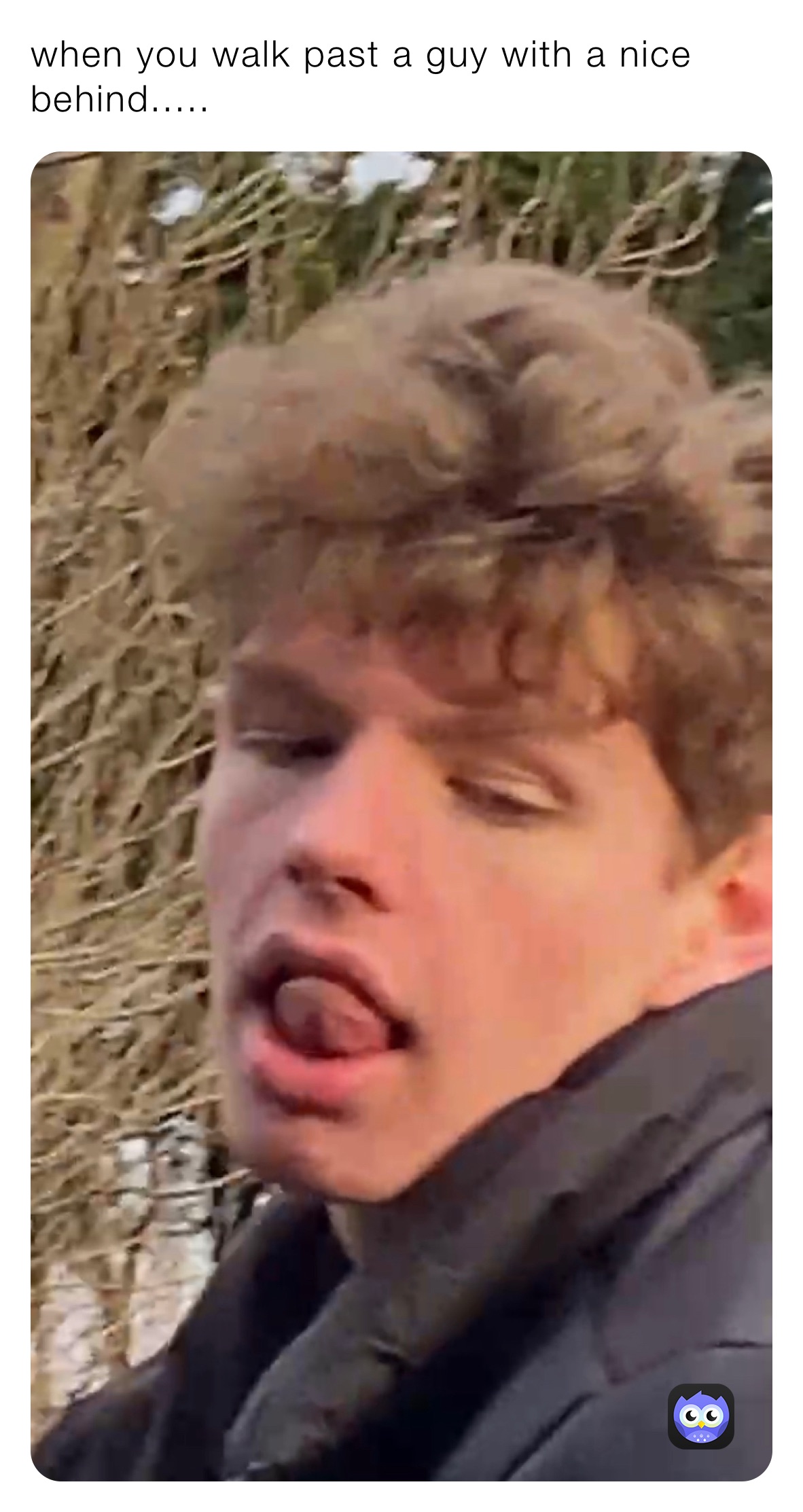 Meme by matthewnield04