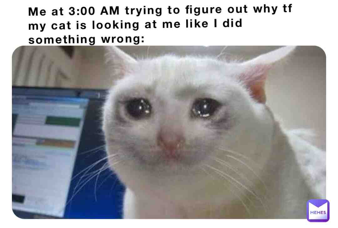 Cats be like- 👿