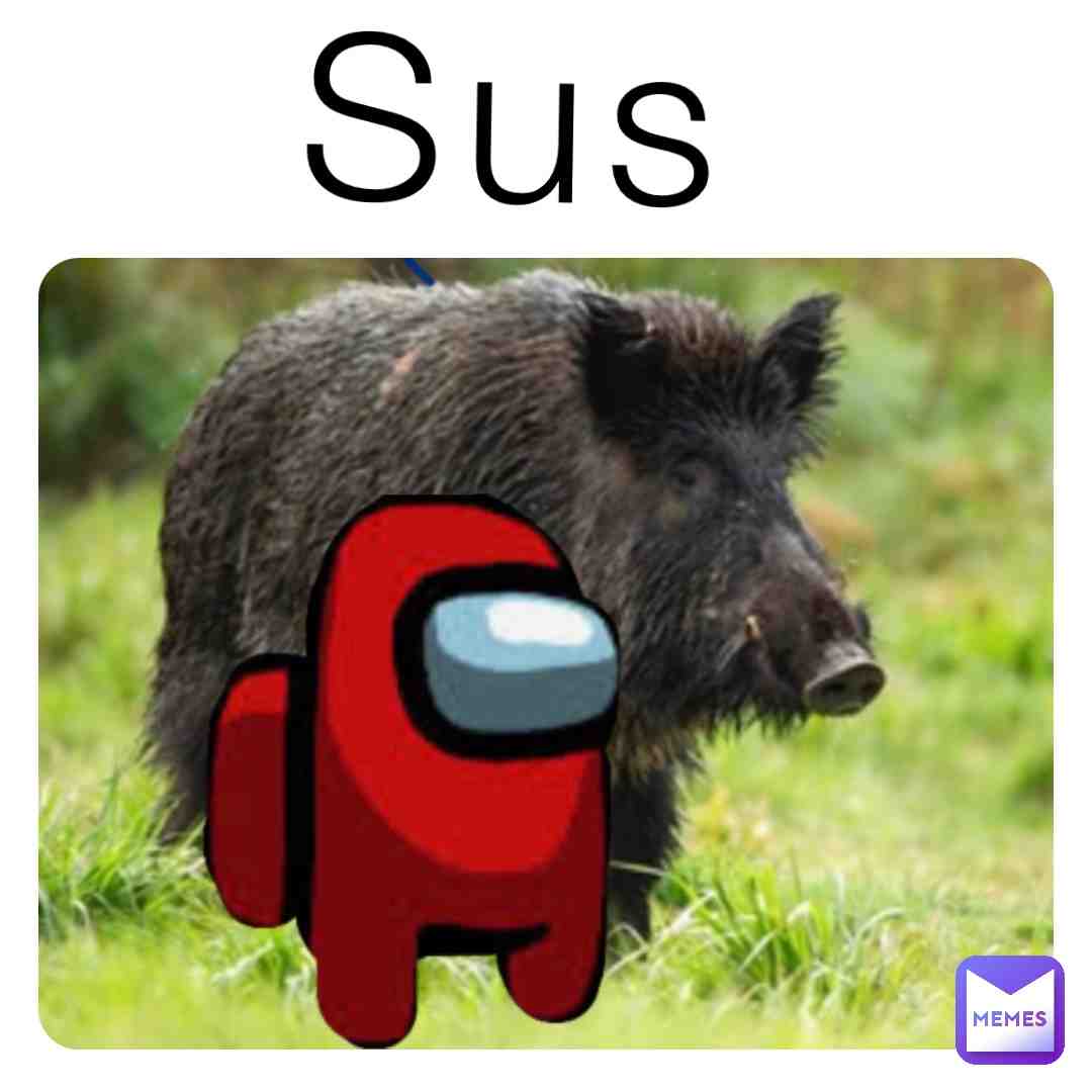 Meme shared by @stupid_memes_69
