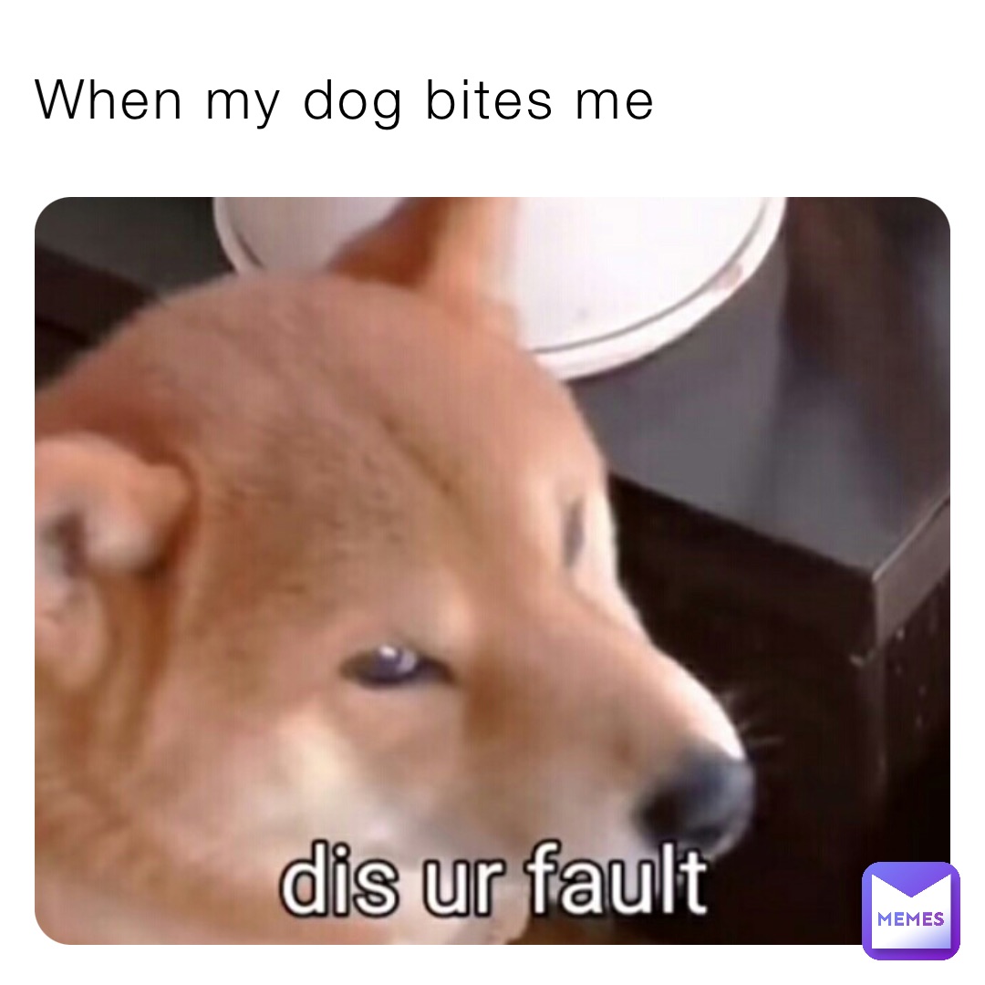 When my dog bites me