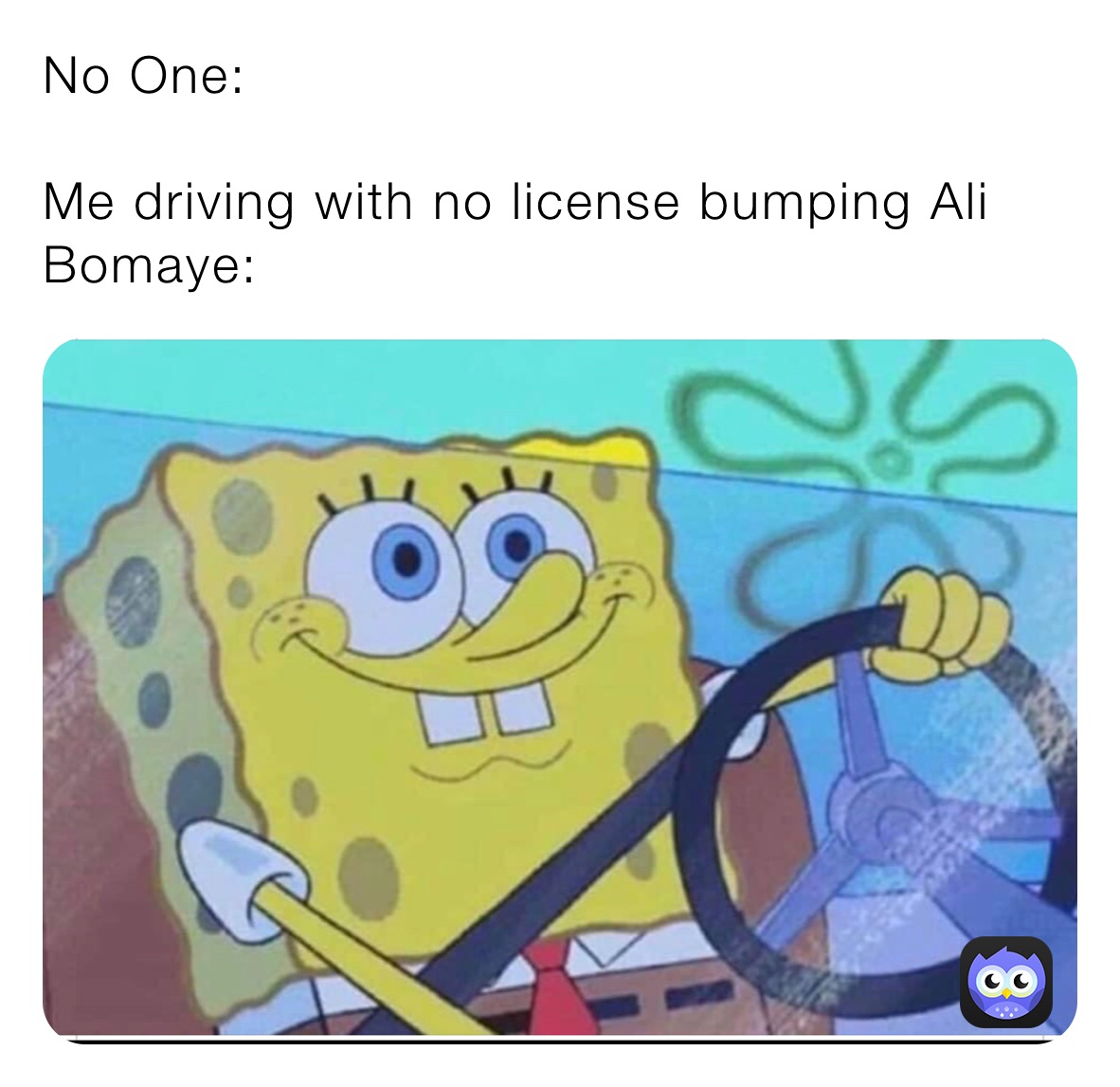 When she replies doesn’t leave you on read and loves dogs continues the