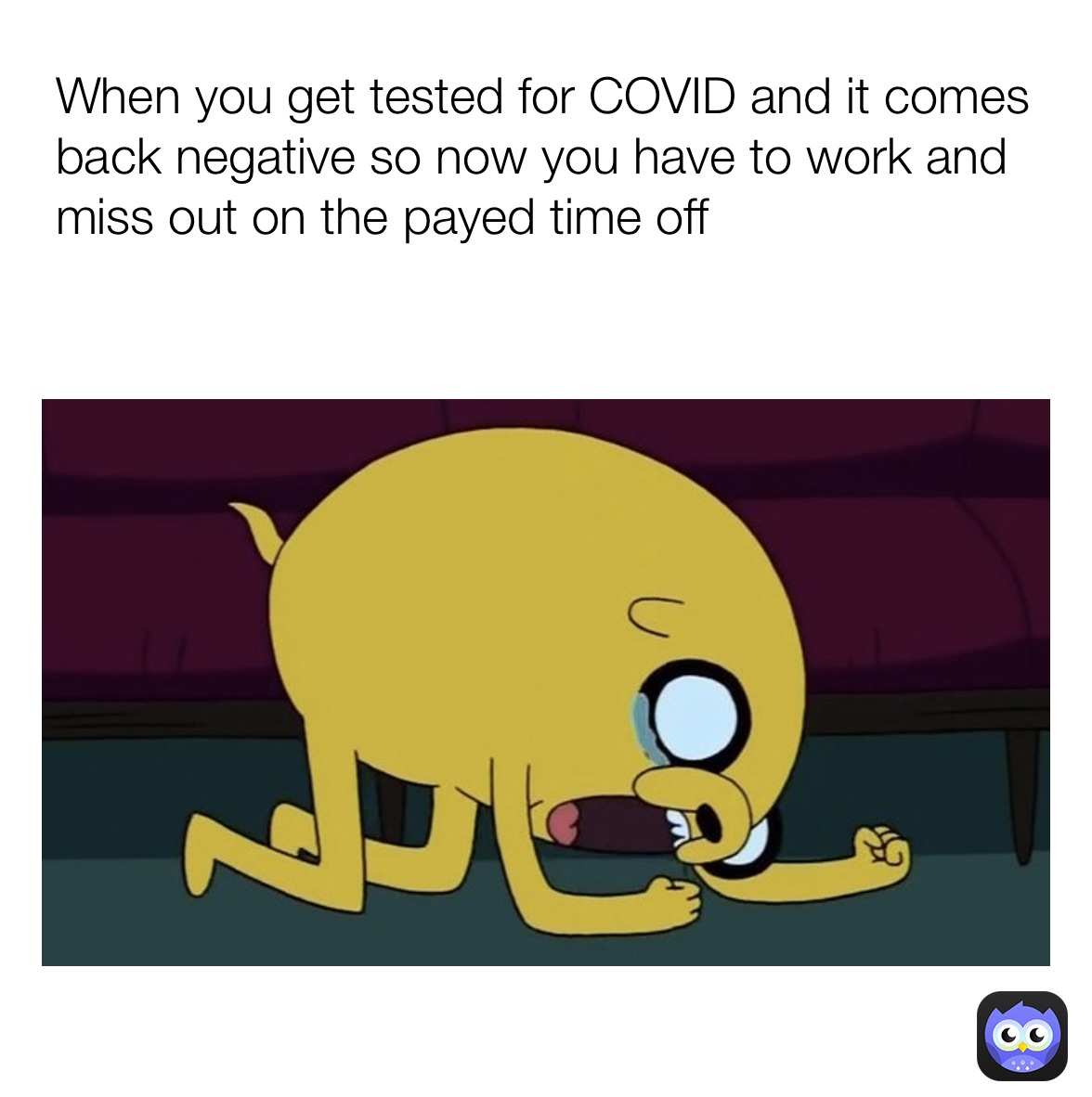 When she replies doesn’t leave you on read and loves dogs continues the