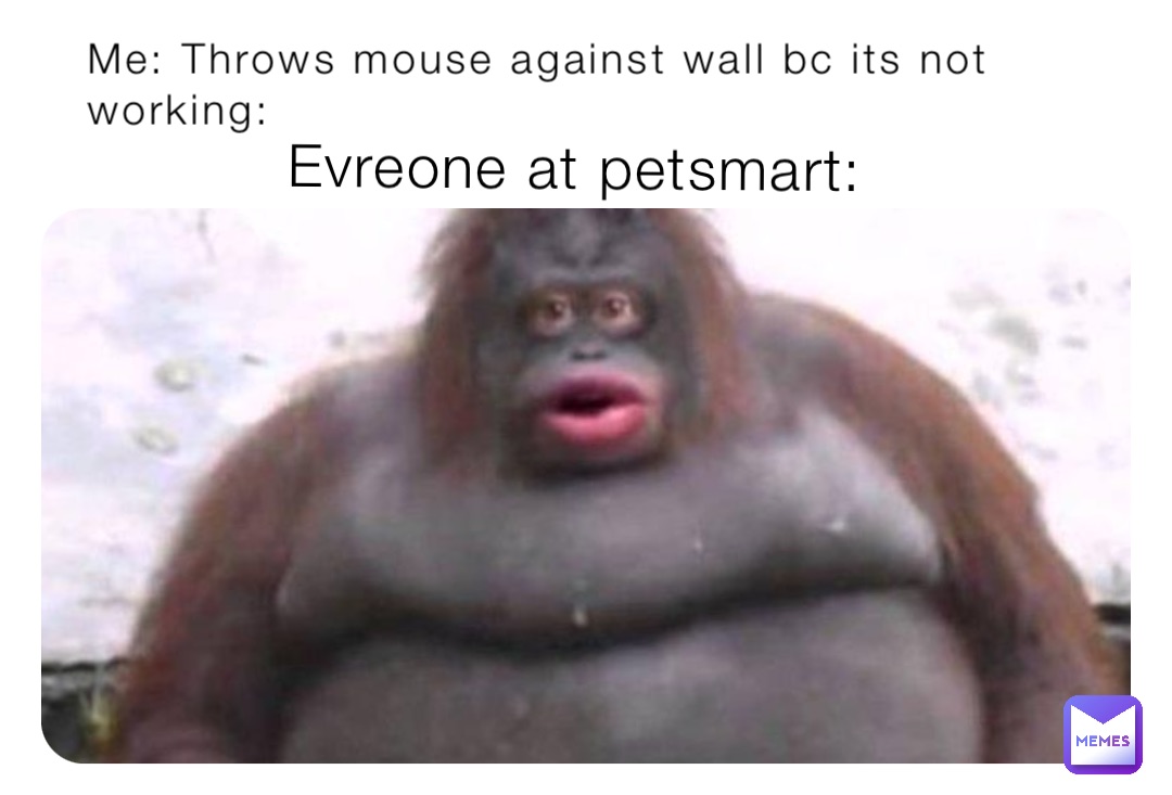 Meme by Denki_kaminari1273