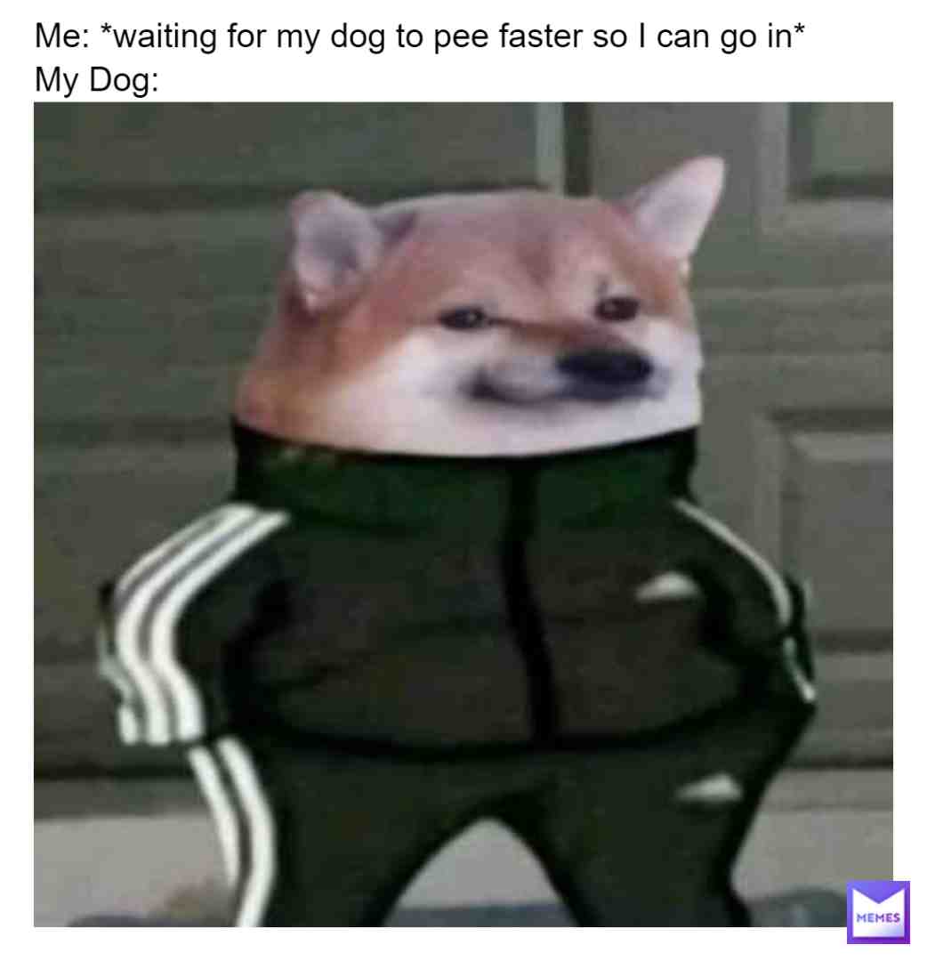 Meme shared by @Blitz.Cake