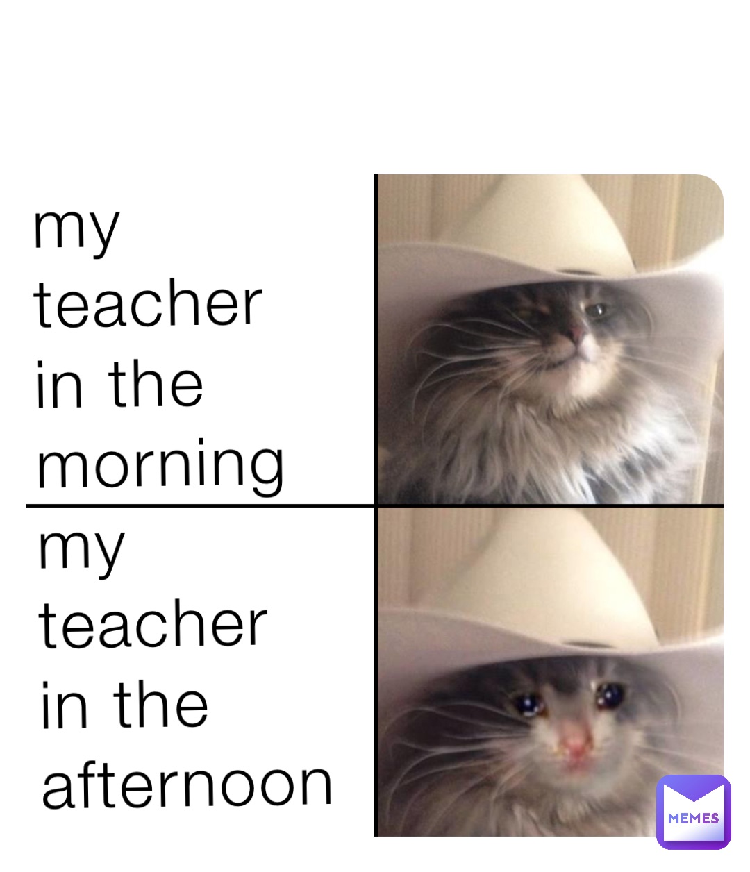 MY TEACHER IN THE MORNING 
My teacher in the afternoon