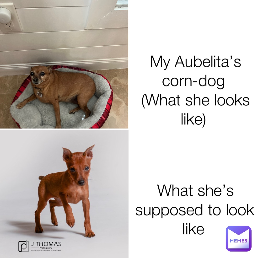 My Aubelita’s corn-dog
(What she looks like) What she’s supposed to look like