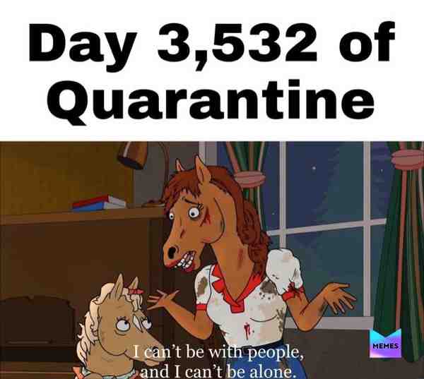 #memes