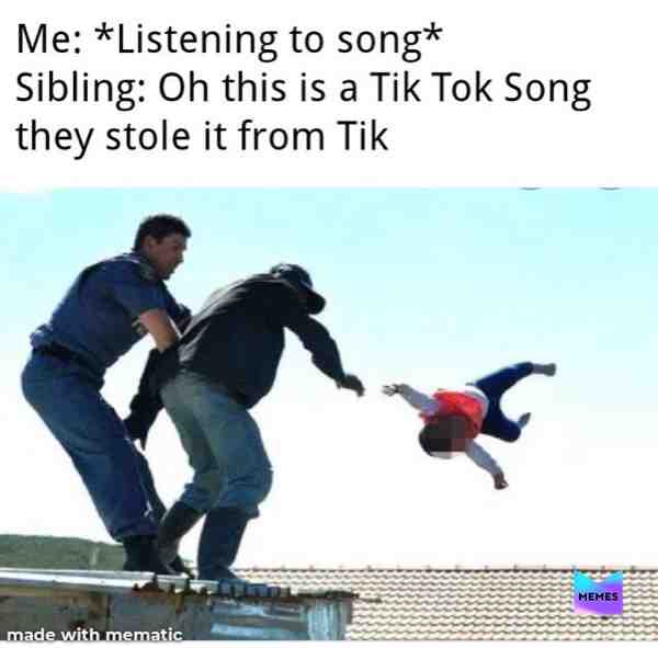 #memes #tiktoksucks