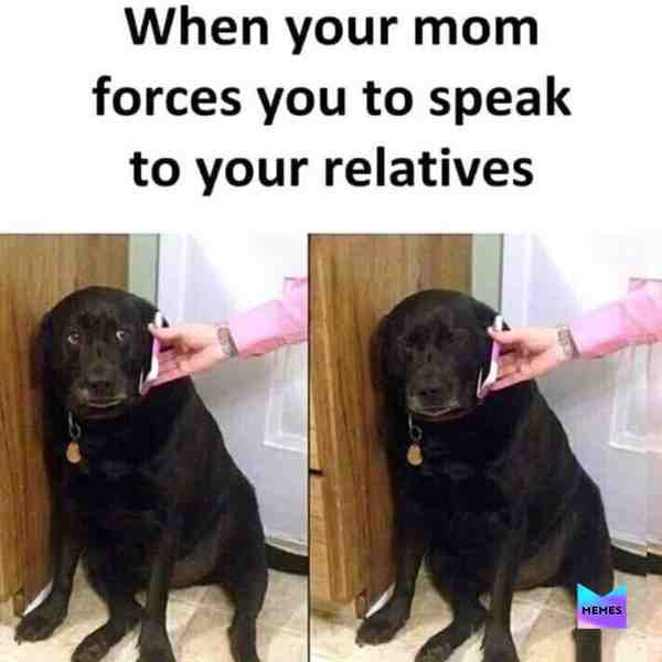 #memes