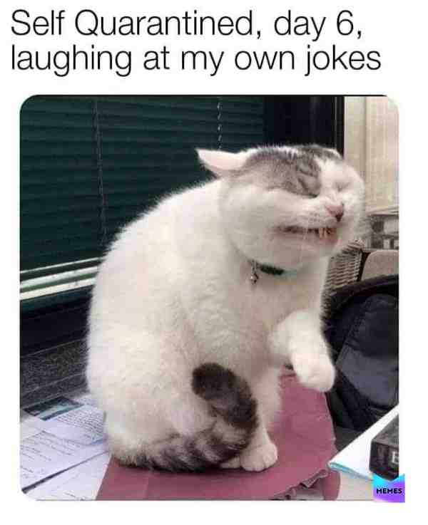 #memes