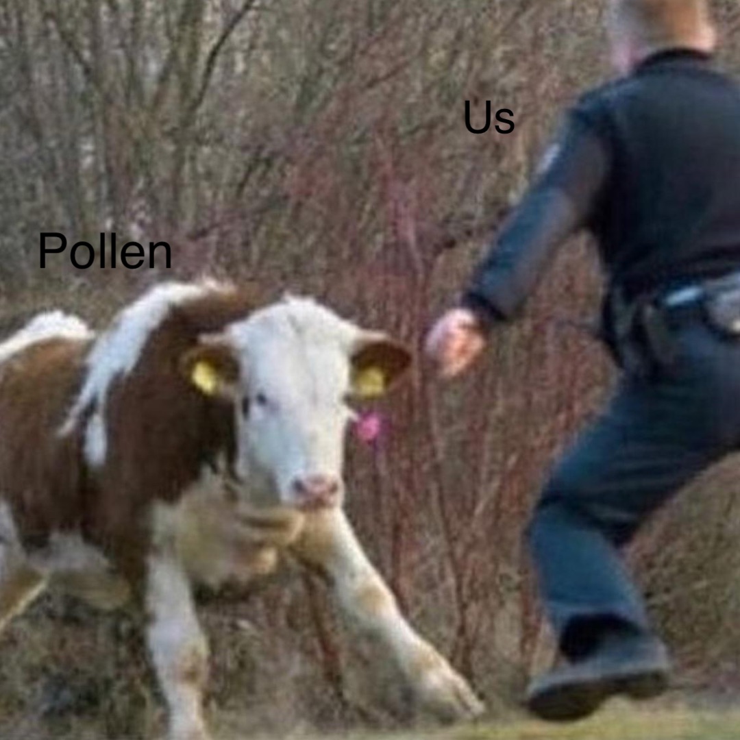 Pollen Us