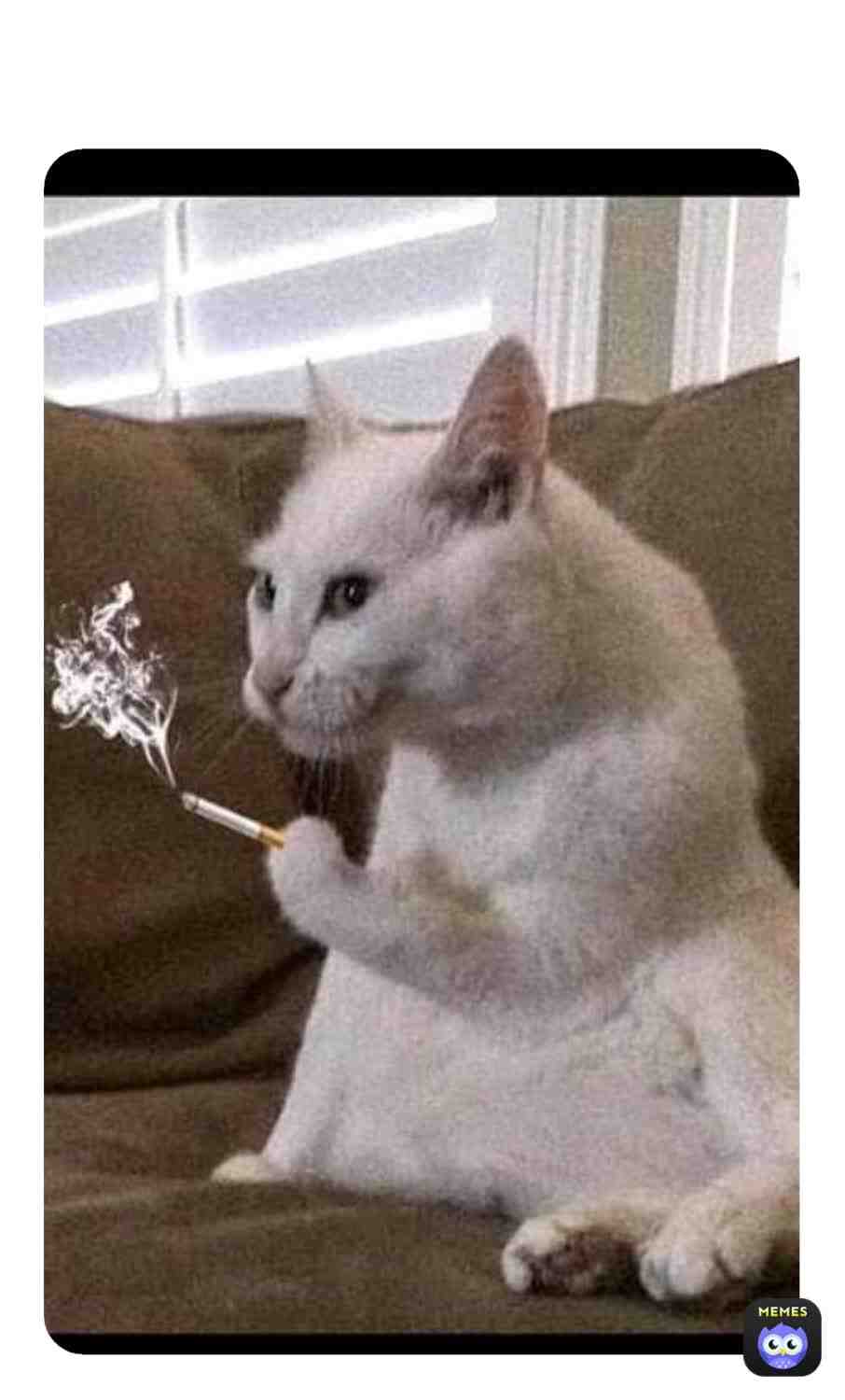 Meme preview